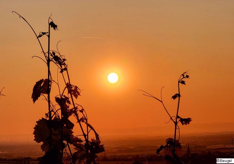 Sonnenaufgang.jpg